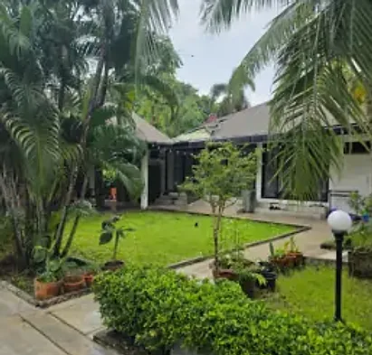 A cottage seen across the lawn, behind palms and a garden lamp