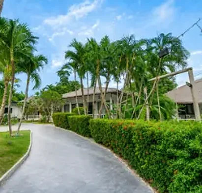 The palm-lined drive leading in from the gate
