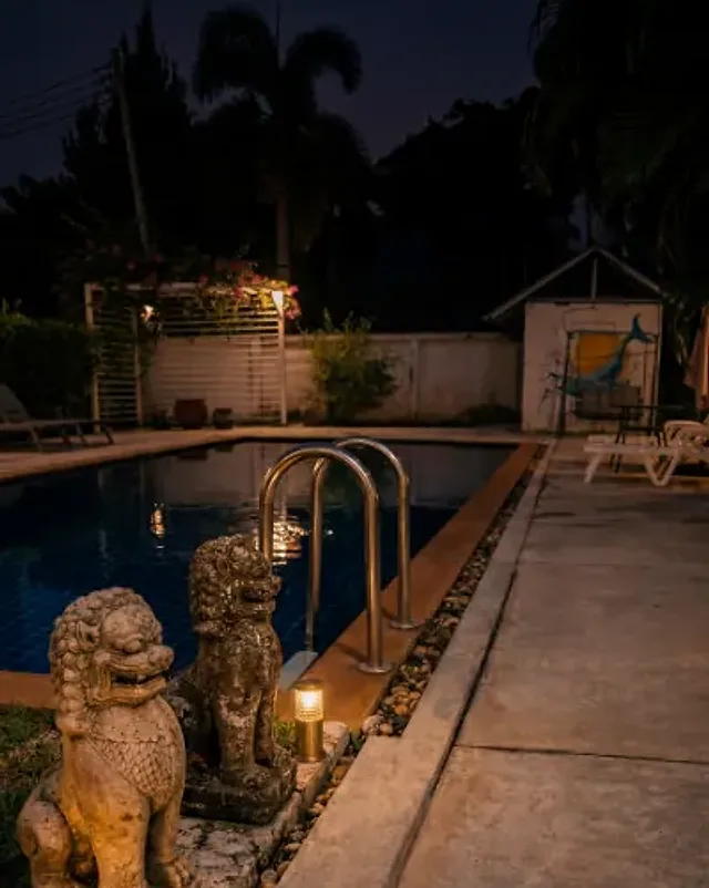 Two stone lions guarding the pool at night